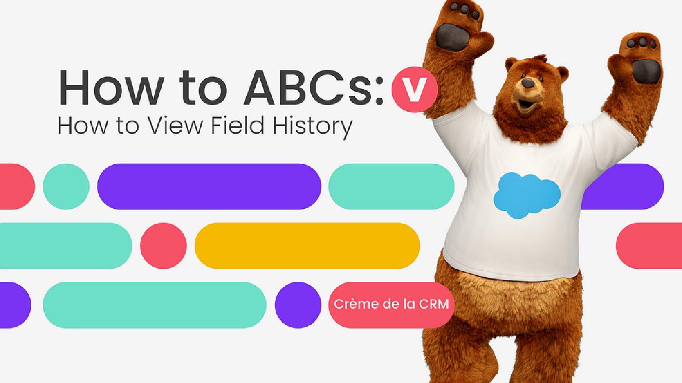 Salesforce “How To” ABCs: V